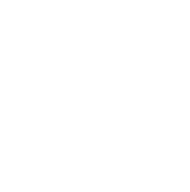 General Service Foundation (GSF)
